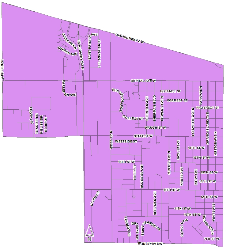 District 1 Map